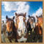 «Funny Animal Horse Selfie» par The Creative Bunch Studio, reproduction d'art sur toile encadrée-1550410781