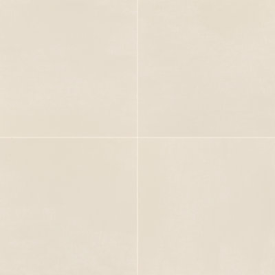 Daltile Cohesion 24 x 24 Color Body Porcelain Floor Tile (3 PC Per Carton) (11.51 SQFT Per Carton)