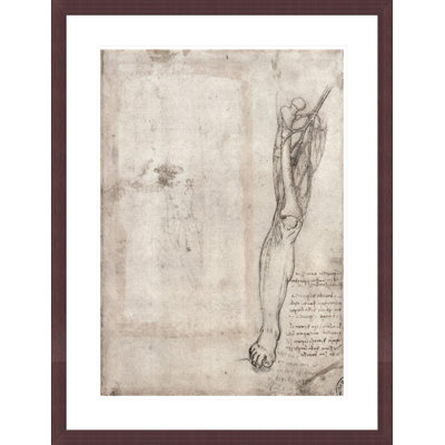 Drawing of human leg by Leonardo da Vinci -Framed Giclee Print