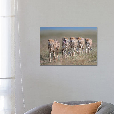 The Five Musketeers by Xavier Ortega - Wrapped Canvas Print