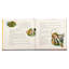 Graphic Image The Classic Tale Of Peter Rabbit Coffee Table Book, Leather, Tan