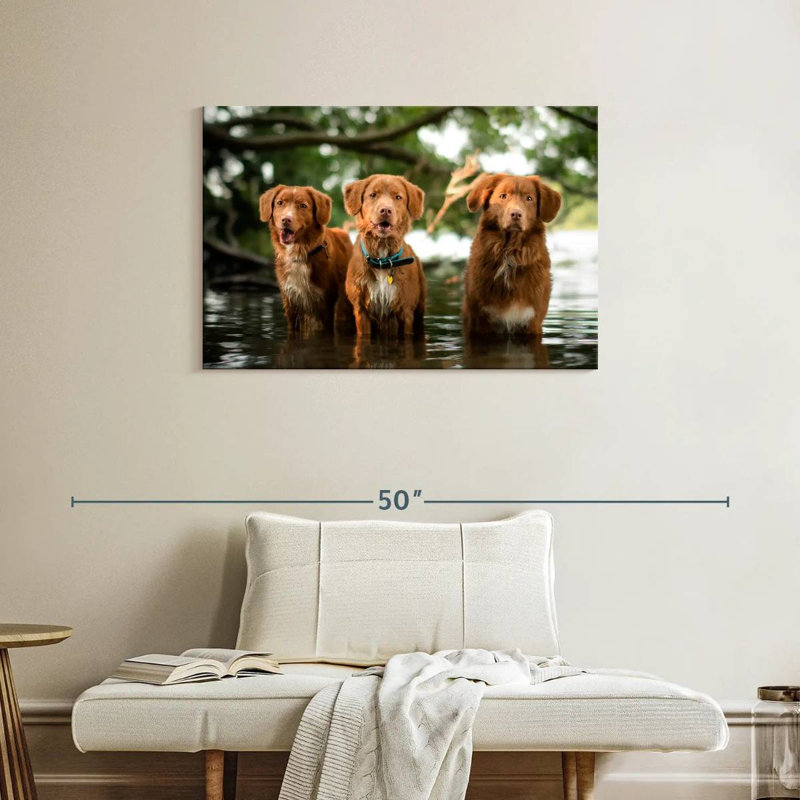 Brampt Tollers In The Water, 24" H x 36" W