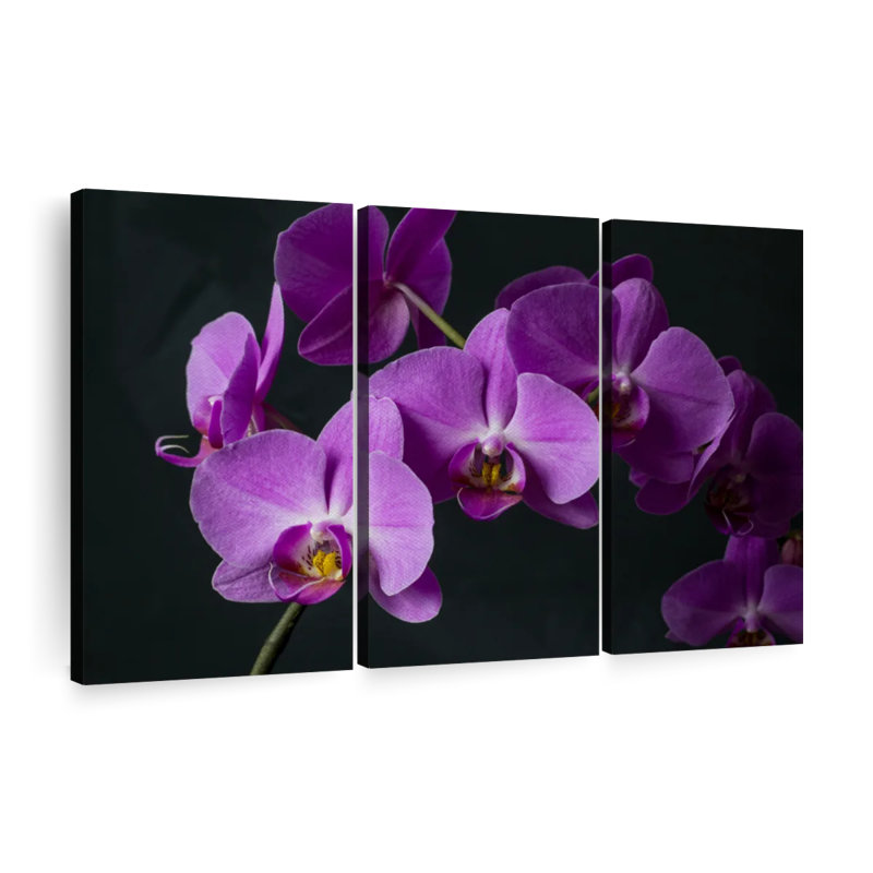 «Fancy Purple Orchids», 3 pièces, H 32 po x l 50 po x P 1,25 po