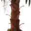 Artificial Palm Tree in Pot