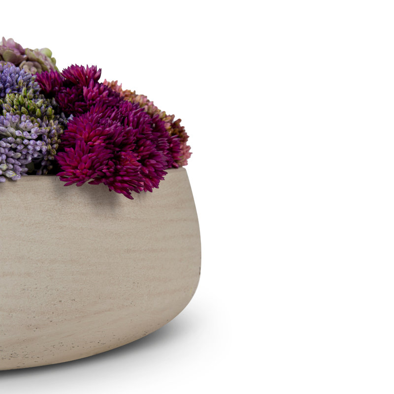 Artful Interiors Succulent Faux Floral in Pot, Ash