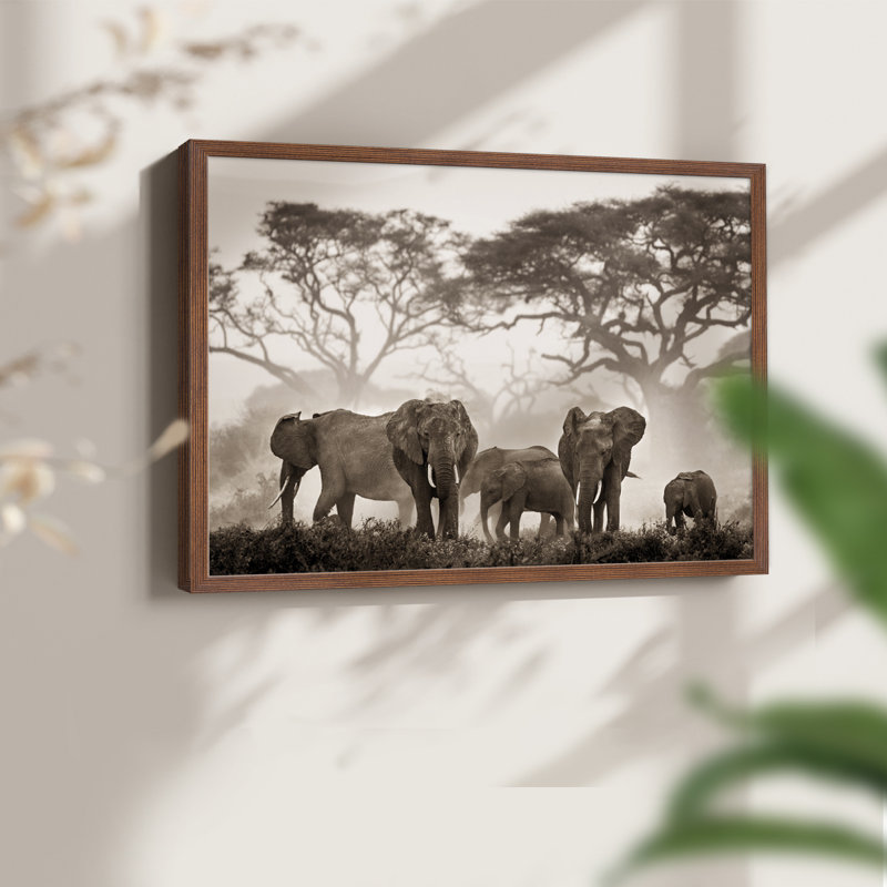 Parc national Amboseli - reproduction encadrée - réarmable, H 16 po x l 20 po, Noyer