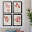 «Vintage Coral Study I», toile encadrée de qualité supérieure - prête à être accrochée-1966984692-1966984655