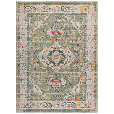 Madison Performance Oriental Rug