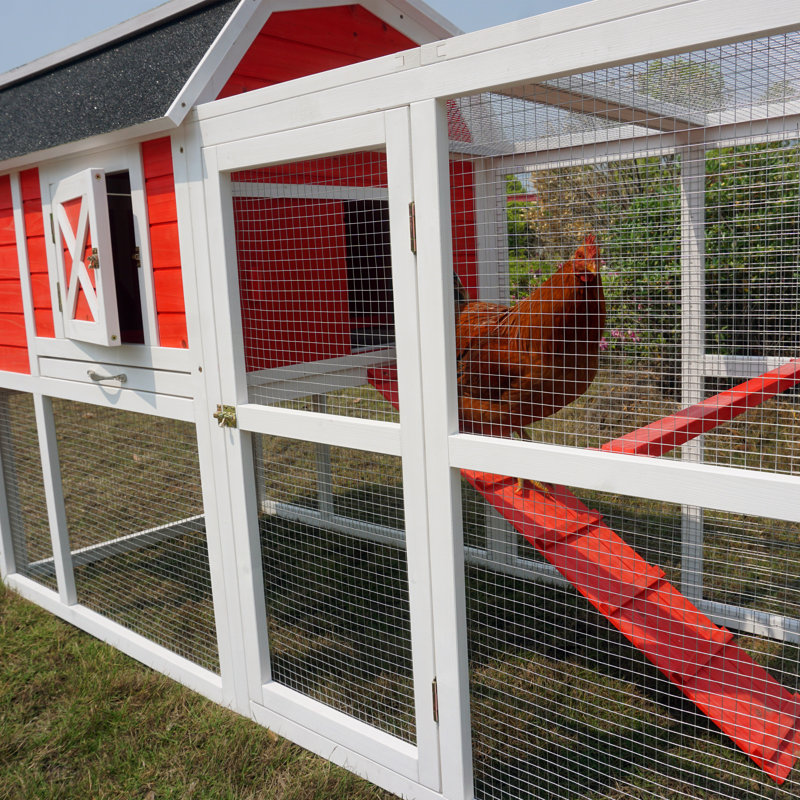 Stough 18.60 Square Feet Chicken Coop with Chicken Run For Up To 6 Chickens