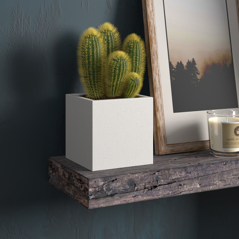Boîte à fleurs Barlo, 7,75 po x 7,75 po x 7,75 po