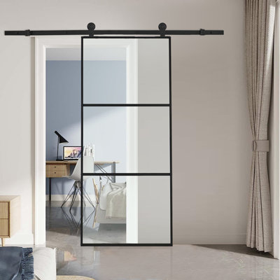 Glass Barn Door