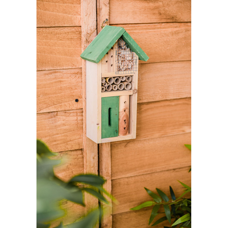 Magana Mounted Butterfly House
