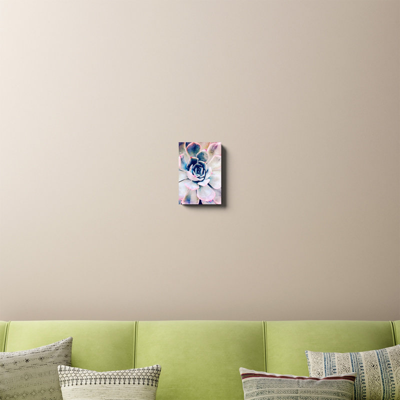 «Pastel Succulent Beauty II», photographie sur toile, H 12 po x l 8 po