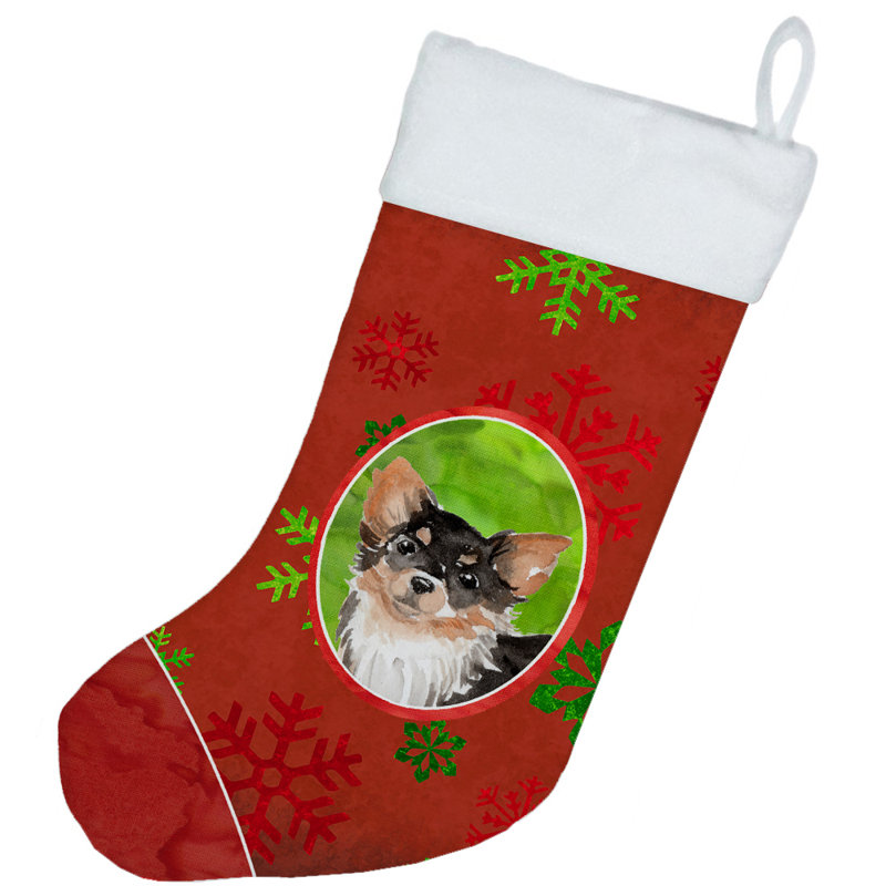 Chaussette de Noël, Chihuahua à poils longs