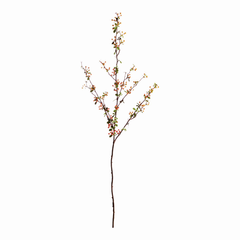  BAIE BRANCHE 48,5 pouces