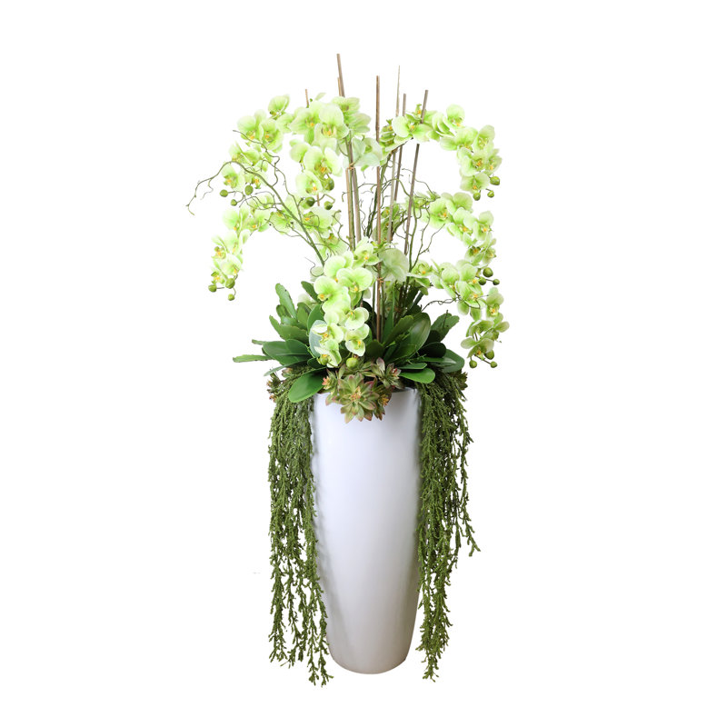 Orchid Arrangement with Cactus in Fiberstone Planter, Green
