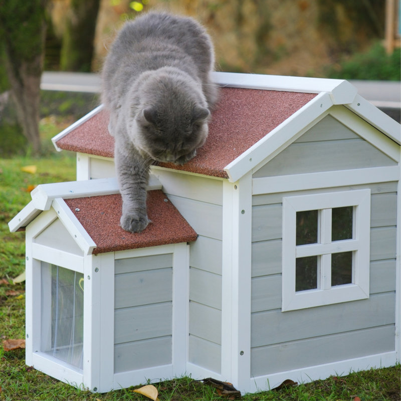 Maison pour chat