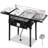 Outdoor Deep Fryer With Dual 8QT Stainless Steel Tank & Basket