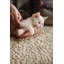 Jacinta Solid Colour Wool Hand Woven Shag Area Rug-848739243