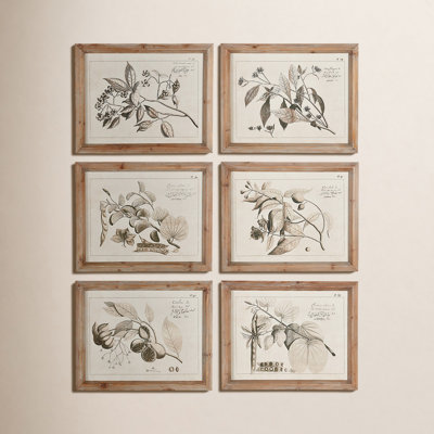 Maplewood "Fruit Bearing Branch" 6-Piece Print Set