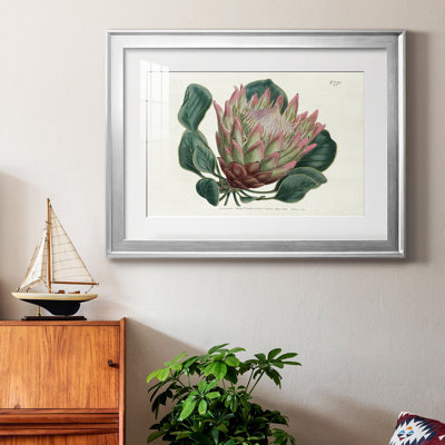 Protea N70 - Matted and Framed Under Acrylic Glass, Large Living Room Wall Art