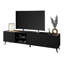 Fredrickson TV Stand-1745623579-1804999676