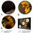 Golden Sunflower Still Life III Plants & Flowers Wall Decor on Metal