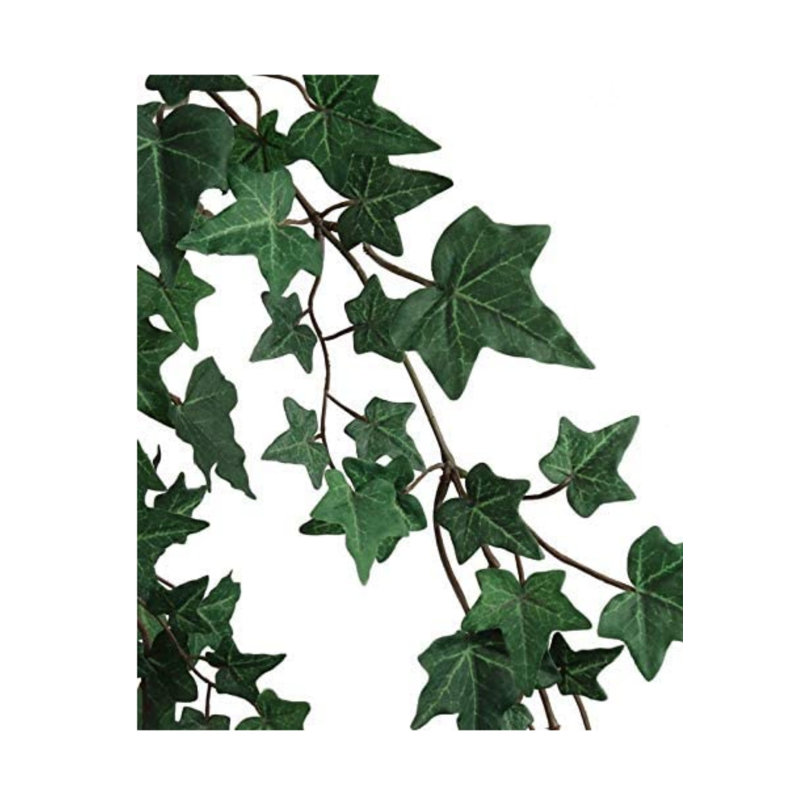 Ensemble de 6 plantes à hauteur de lierre artificiel 27 po, 2