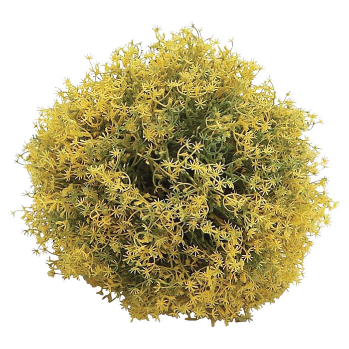 Primrue 8'' Moss Topiary | Wayfair