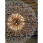Lustre en cristal Luxe Starburst-264115064-187061048-187061046