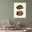 «Red Barrel Studio® Inconnu», art sur toile tendue, tortues antiques et coquillages I-1227913384