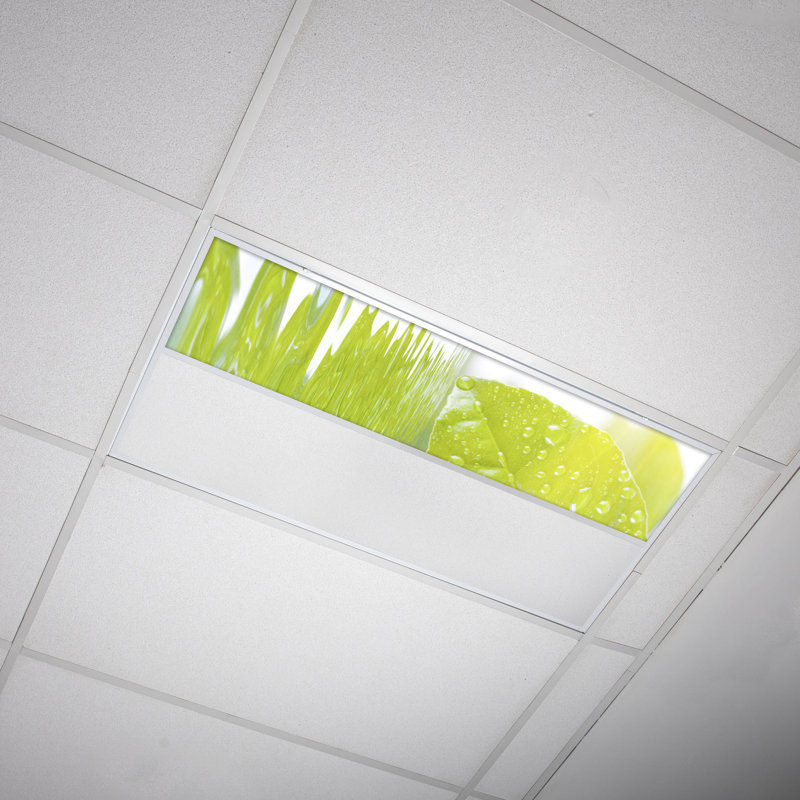 Couvre-lumière décoratif flexible en arbre