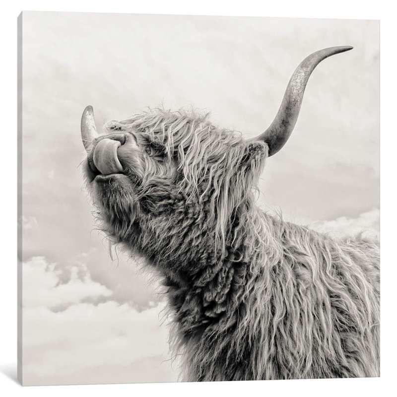 Spring Air I by Mark Gemmell - Wrapped Canvas Giclée Art Print, 45.72 cm H x 45.72 cm W x 3.175 cm D