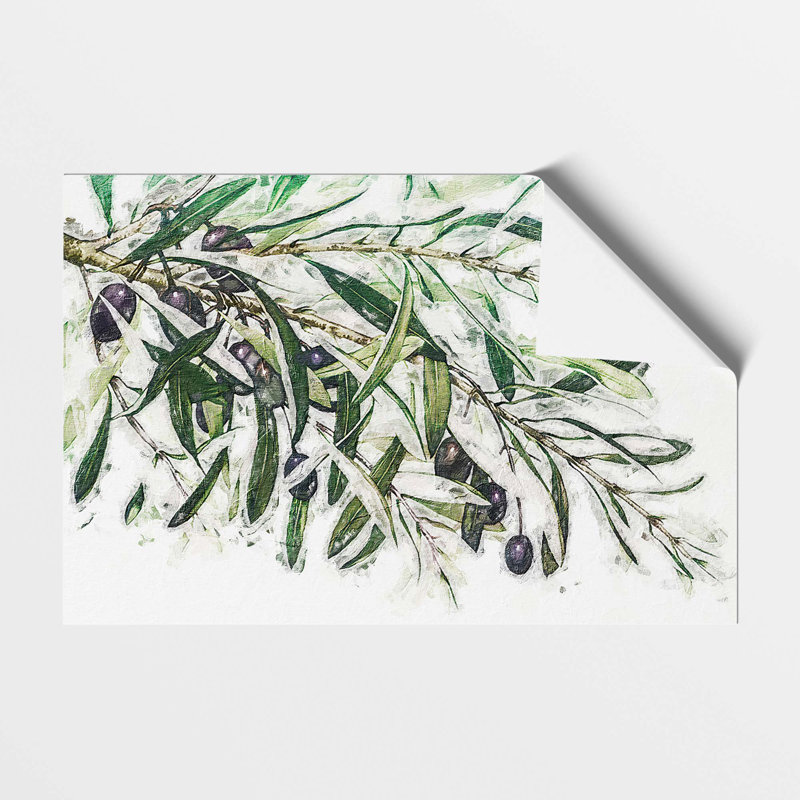 The Olive Branch - Frameless Print, 21 cm H x 29.7 cm W