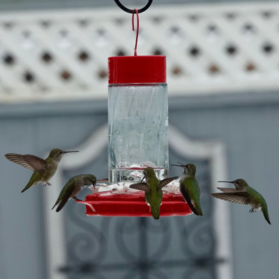 Gravity Hummingbird Feeder – Scarlet Swirl