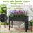 Nasiar Metal Elevated Planter-1496896189