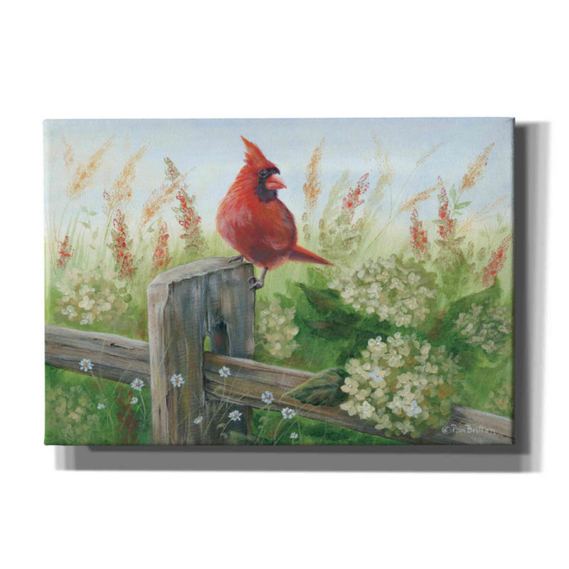 «Cardinal on Fence» par Pam Britton, art mural sur toile, H 18 po x l 26 po x P 0,75 po
