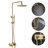 10" Exposed Pipe Shower System with Tub Spout, Solid Brass Shower Set with Rough-in Valve-87957341