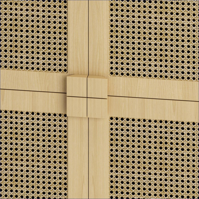 Armoire de rangement polyvalente en maille de rotin avec plusieurs compartiments pour l'organisation à la maison
