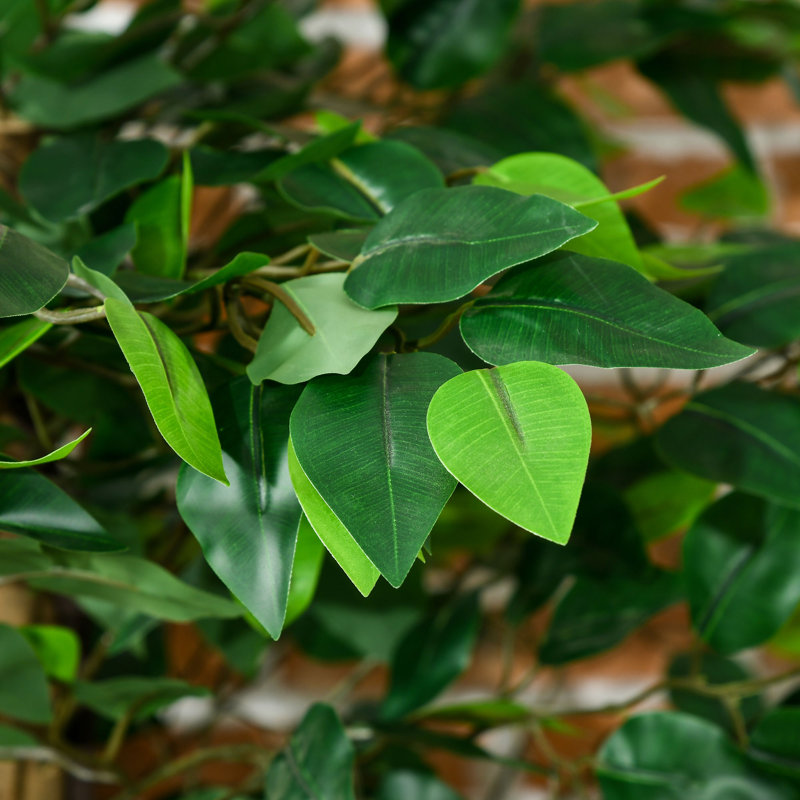 Ensemble de 2 ficus artificiels en pot, H 71 po x l 6,9 po x P 6,9 po