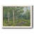 " In The Forest "-96271469-96271474