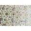 One-of-a-Kind 5'1" X 7'1" Area Rug
