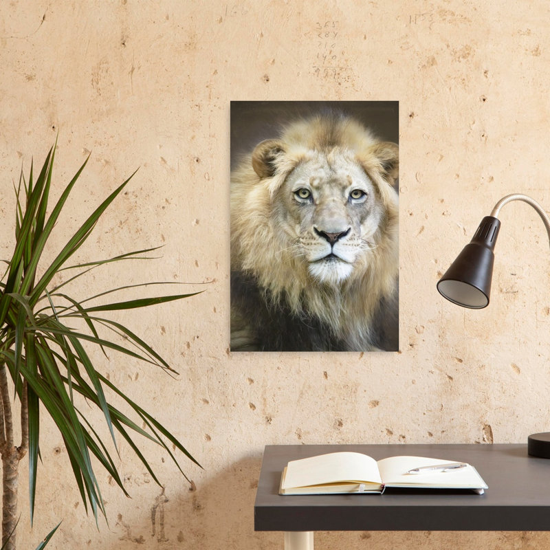 Affiche murale contemporaine représentant un lion majestueux au regard architectural, H 24 po x l 16 po