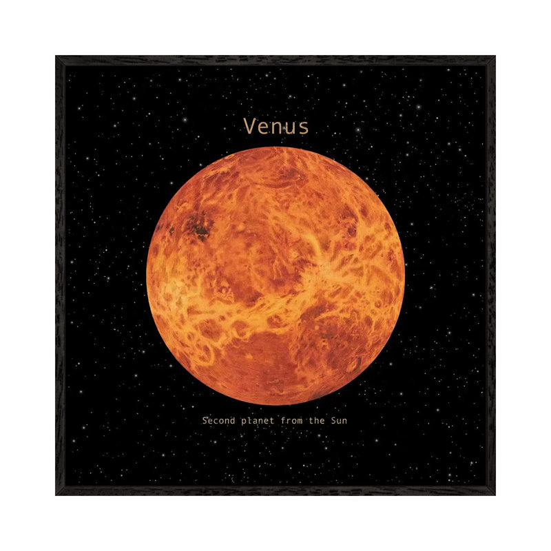 Venus Square by Terry Fan - Floater Frame Gallery-Wrapped Canvas Giclée on Canvas, 45.72 cm H x 45.72 cm W, Black