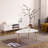 Oval Coffee Table 900, White + Oak, Stylish For Everyday Use Modern Spacious Living Room Piece-135024036