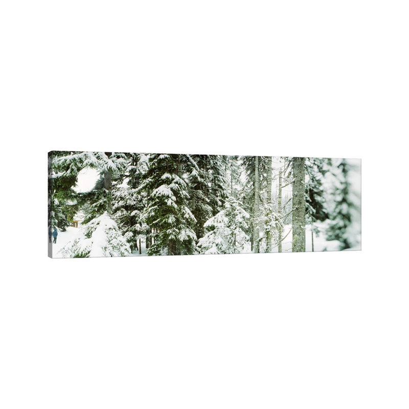 Snow Covered Evergreen Trees At Stevens Pass, Washington State, USA - Wrapped Canvas Panoramic Print