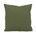 Sunbrella Canvas Fern