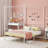 Alex-Jay Metal Canopy Bed-2109103169-2109103172