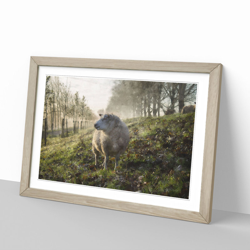 Woolly Sheep - Picture Frame Graphic Art, 27cm H x 36cm W x 2cm D, Oak Framed