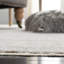 Tapis oriental performance Gutierrez 600-359249120